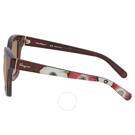 Ferragamo Brown Gradient Square Ladies Sunglasses SF858S21053