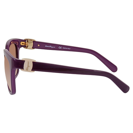Ferragamo Brown Square Ladies Sunglasses SF782S505
