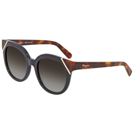 Ferragamo Dark Grey Gradient Cat Eye Ladies Sunglasses SF836S00653