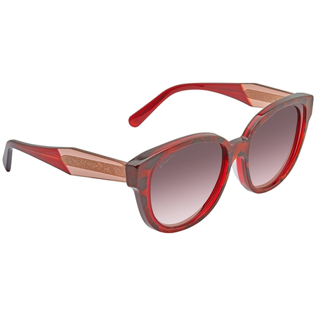 Ferragamo Sunglasses SF895SA28956