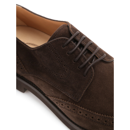 Tod's Men's Classic Brogue Shoes in Dark Brown XXM0WP00C10RE0S800