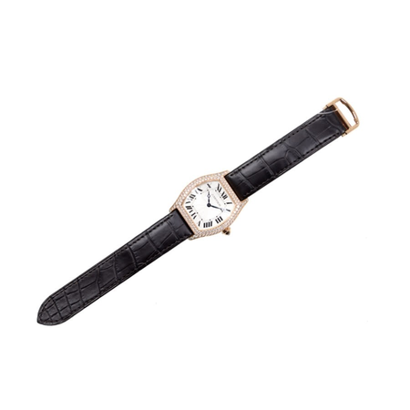 Cartier Tortue Silver Dial Brown Leather Diamond Automatic Men's Watch WA503951