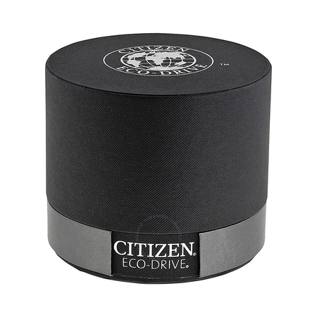 Citizen Perpetual Calendar Eco-Drive Men's Watch BL5400-52A