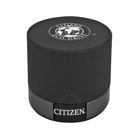 Citizen Perpetual Chrono A-T Eco-Drive Titanium Chronograph Men's Watch AT4010-50E