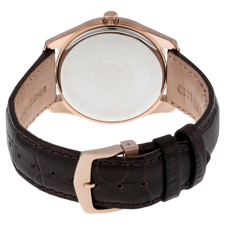 Citizen Eco Drive Black Dial Brown Leather Men's Watch AU1043-00E