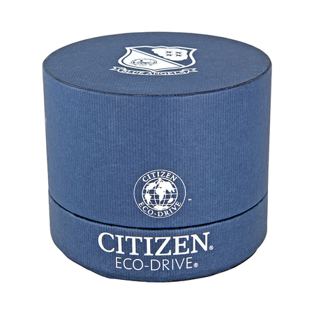 Citizen Blue Angels Skyhawk A-T Men's Titanium Watch JY0050-55L
