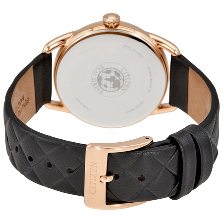 Citizen Drive Champagne Dial Ladies Watch FE6083-13P