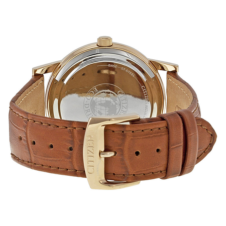 Citizen Eco Drive Black Dial Brown Leather Men's Watch AO9003-08E
