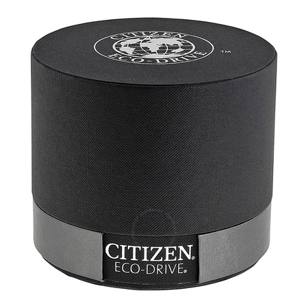 Citizen Eco-Drive Silver Dial Stainless Steel Black Leather Men's Watch BM7190-05A