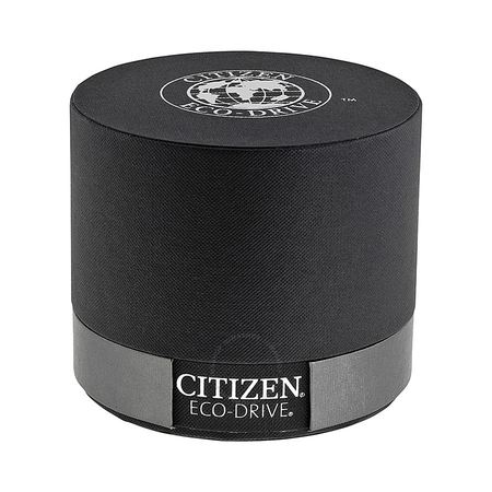 Citizen Silhouette Ladies Eco Drive Stainless Steel Watch EW1250-54A