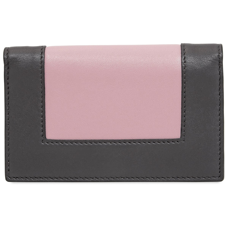 Celine Brown/Rose Frame Card Purse 109653AO4.10LR