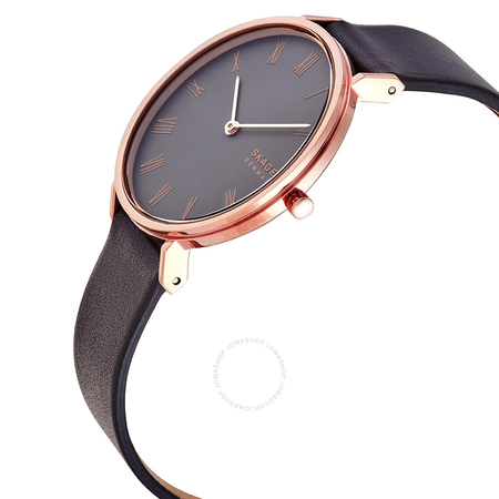 Skagen Hald Quartz Grey Dial Ladies Watch SKW2816