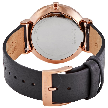 Skagen Hald Quartz Grey Dial Ladies Watch SKW2816
