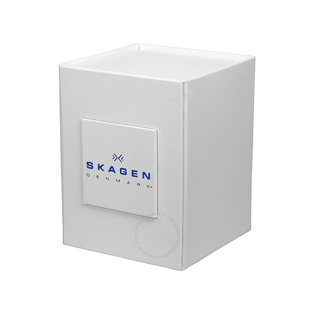 Skagen Melbye Grey Dial Grey Mesh Men's Watch SKW6007