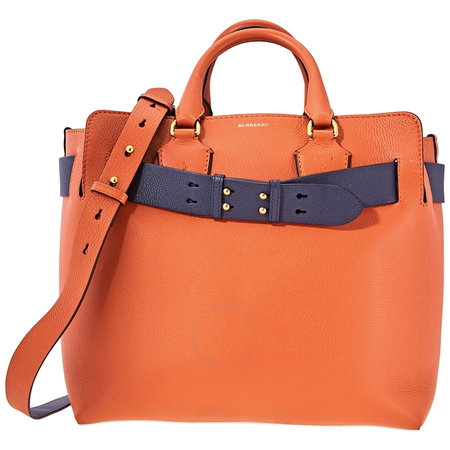 Burberry Medium Leather Belt Bag- Clementine 4073286