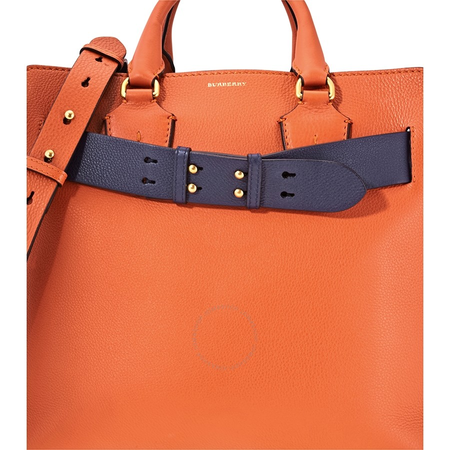Burberry Medium Leather Belt Bag- Clementine 4073286