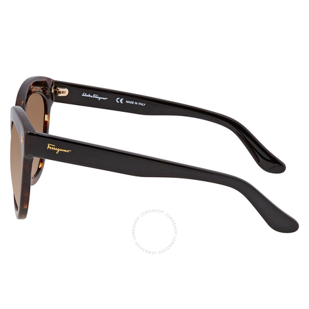 Ferragamo Brown Cat Eye Ladies Sunglasses SF675S 214 55 SF675S 214 55