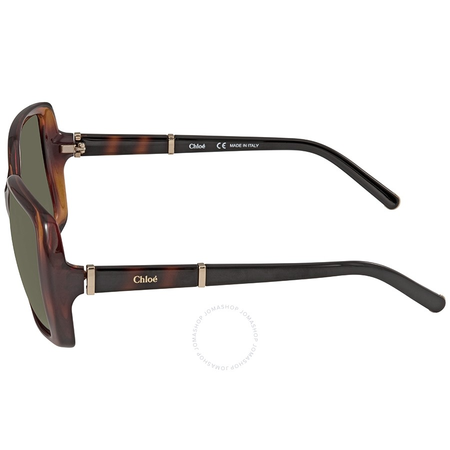 Chloe Green Gradient Square Sunglasses CE680S 219 58