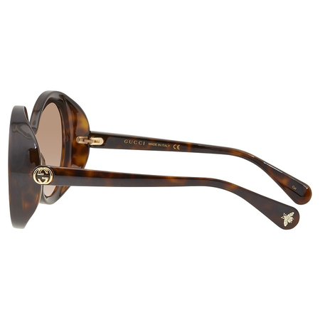 Gucci Gucci Brown Round Ladies Sunglasses GG0367S 002 53 GG0367S 002 53