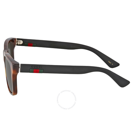 Gucci Havana Square Plastic Sunglasses GG0008S-006 53