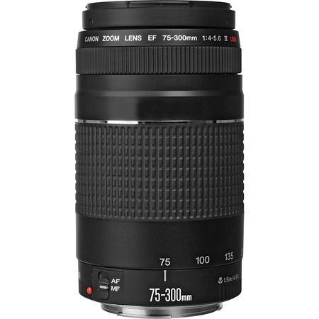 Canon EOS Rebel T6 Digital SLR Camera Kit, EF-S 18-55mm IS II Lens, EF 75-300mm III Telephoto Zoom Lens, 64GB Memory Card, Flash and Accessory Bundle