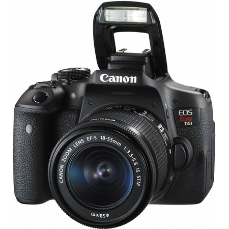 Canon EOS Rebel T6i/750D DSLR Camera Bundle with Canon EF-S 18-55mm IS STM Lens + Canon EF 75-300mm III Lens + 64GB SDXC Memory Card + Accessory Kit - International Version