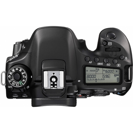 Canon EOS 80D Digital SLR Camera + 18-55mm STM + Canon 75-300mm III Lens + SD Card Reader + 64gb SDXC + Remote + Spare Battery + Accessory Bundle - International Version