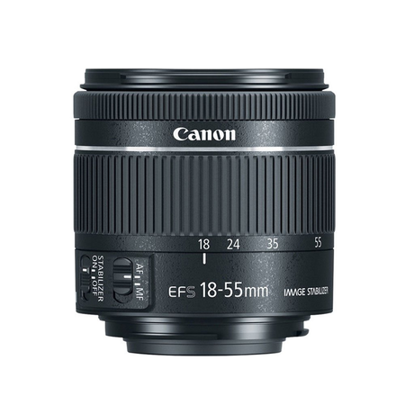 Canon EOS Rebel T7i Digital SLR Camera + EF-S 18-55mm IS STM Lens + EF-S 55-250mm IS STM Lens + Wide Angle Lens & 2x Telephoto Lens + 64GB Memory Card + Flexible Tripod + Complete Accessory Bundle