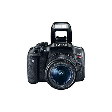 Canon EOS Rebel T6i Digital SLR with EF-S 18-135mm IS STM Lens + 55-250mm IS STM Lens