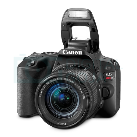 Canon EOS Rebel SL2 DSLR Camera with 18-55mm Lens w/ Advanced Photo and Travel Bundle