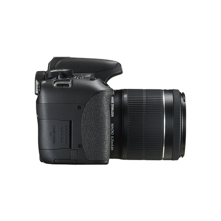 Canon EOS Rebel T6i Digital SLR with EF-S 18-55mm IS STM Lens - Wi-Fi Enabled