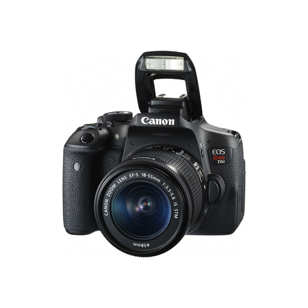 Canon EOS Rebel T6i Digital SLR with EF-S 18-55mm IS STM Lens - Wi-Fi Enabled
