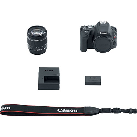 Canon EOS Rebel SL2 SLR Camera Lens & Accessory Bundle (Premium Bundle)