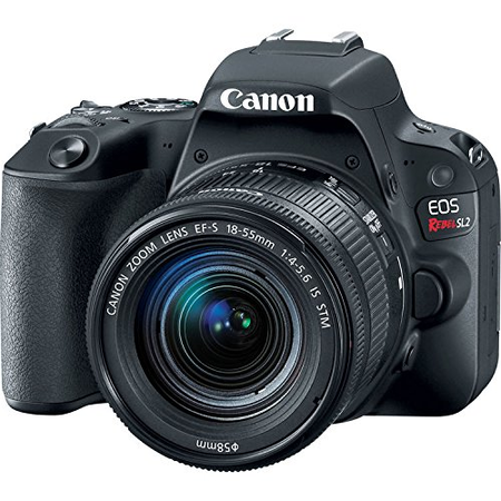 Canon EOS Rebel SL2 DSLR Camera w/ 18-55mm Lens + 2 x 32GB Card + Basic Photo Accessory Bundle