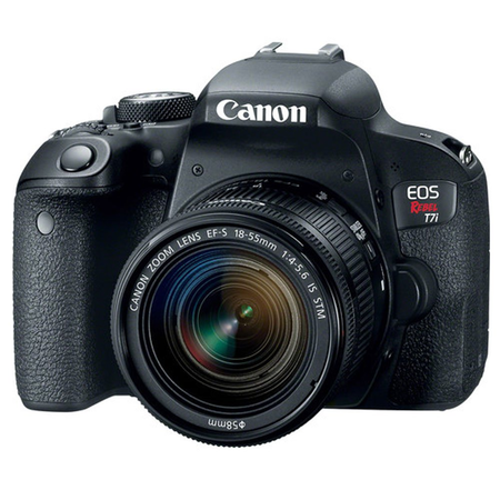 Canon EOS Rebel T7i Digital SLR Camera + Canon EF-S 18-55mm f/4-5.6 IS STM Lens + Canon EOS Shoulder Bag 100ES (Black) + SanDisk Ultra SDXC 64GB 80MB/S Class 10 Flash Memory Card + Deluxe Canon Bundle