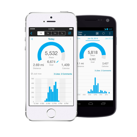 Garmin vívofit 2 Activity Tracker, White