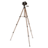 AmazonBasics 50-Inch  Lightweight Tripod with Bag