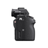 Sony a7S II ILCE7SM2/B 12.2 MP E-mount Camera with Full-Frame Sensor, Black and SanDisk Extreme 128GB SDXC UHS-I Card