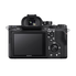 Sony a7S II ILCE7SM2/B 12.2 MP E-mount Camera with Full-Frame Sensor, Black and SanDisk Extreme 128GB SDXC UHS-I Card