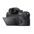 Sony a7S II ILCE7SM2/B 12.2 MP E-mount Camera with Full-Frame Sensor, Black and SanDisk Extreme 128GB SDXC UHS-I Card
