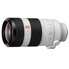 Sony FE 100-400mm f/4.5-5.6 GM OSS E-Mount NEX Camera Lens - Bundle With 77mm Filter Kit, Flex Lens Shade, Cleaning Kit, Capleash II, Lenspen Lens Cleaner, Software Package