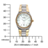 Đồng hồ Fossil Two-Tone Silver Dial Glitz Watch