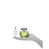 Nước hoa Believe Perfume 3.4 oz Eau De Parfum Spray