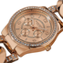 Akribos XXIV Akribos GMT Multi-Function Rose Gold-Tone Ladies Watch AK558RG