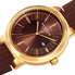 Akribos XXIV Brown Dial Men's Watch AK1007YGBR