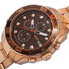 Akribos XXIV Brown Matte Men's Watch AK646RG