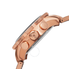 Akribos XXIV Brown Matte Men's Watch AK646RG