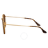Ray Ban Round Double Bridge Polarized Sunglasses RB3647N 001/57 51