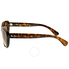 Ray Ban RB4227 Brown Gradient Ladies Sunglasses RB4227 710/13 55-17 RB4227 710/13 55-17