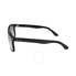 Ray Ban Rayban Boyfriend Gradient Silver Unisex Sunglasses 4147-60132-56 RB4147 601/32 56-22
